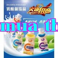 Đồ uống axit lactic đang tìm kiếm đại lý mạnh mẽ